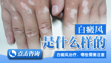 С<a href=http://www.bjhhtop.com/bdfzz/ target=_blank class=infotextkey>֢״</a>ʶ